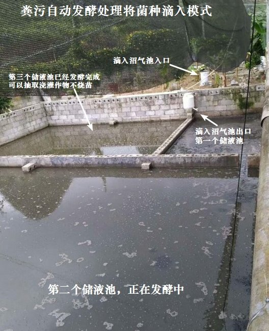 鄂州化粪池粪污资源化利用处理基地实拍:暴雨天抢修背后,管道疏通这行水有多深?