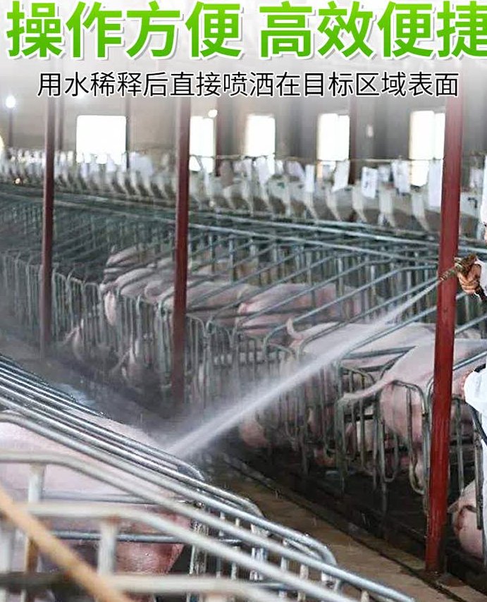 化粪池十几年没清过,鄂州这个老小区为什么突然不臭了?