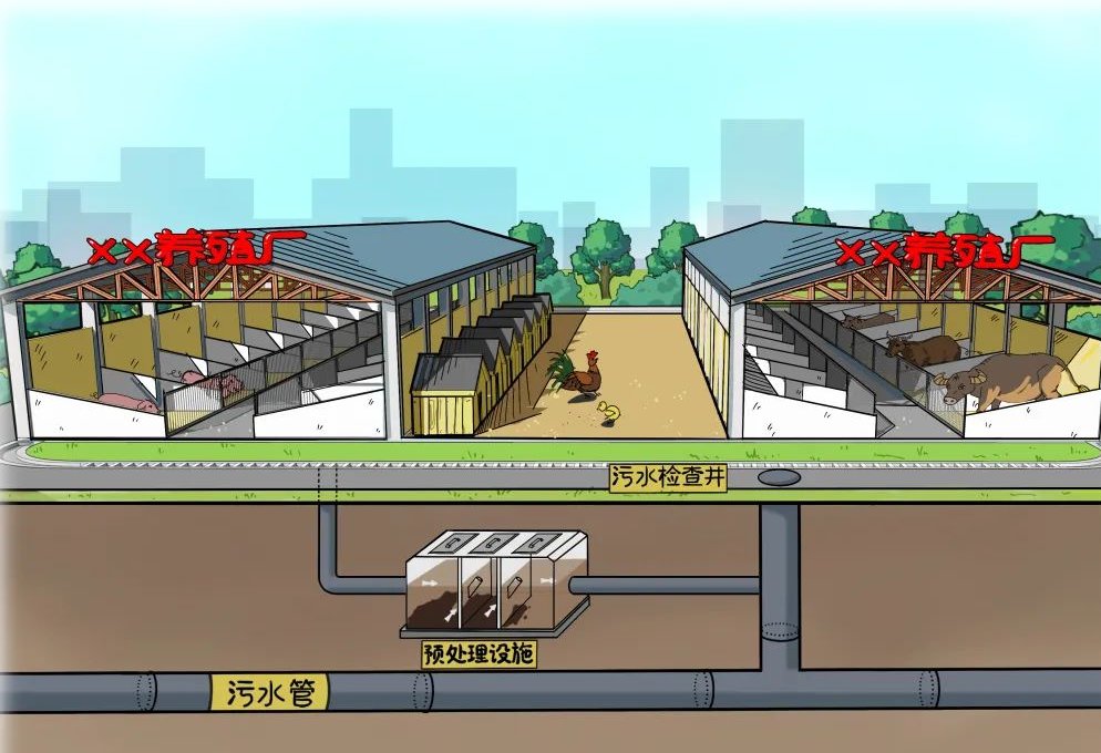 鄂州新农村污水管网接入城区排污系统，这场“地下革命”到底怎么打的？