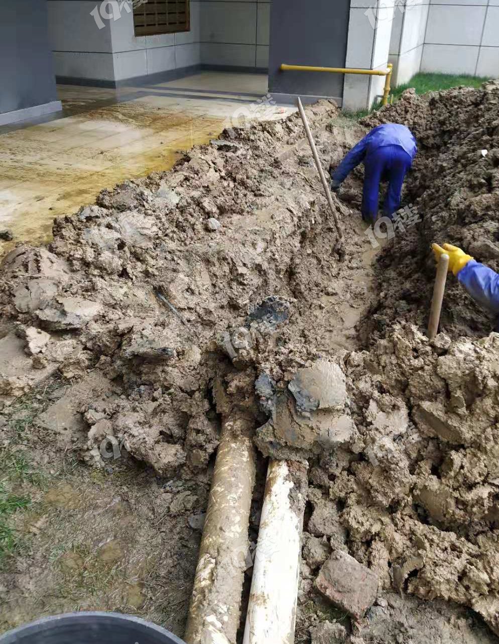 黄石磁湖路排污管反水,一楼业主家一天舀出三十桶污水