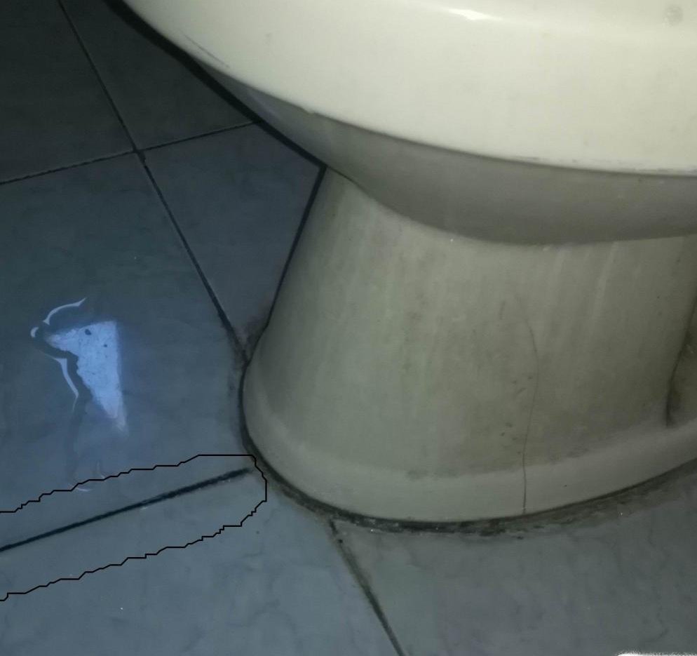 鄂州马桶底部渗水:密封胶真的背了所有锅吗?我拆了30个马桶才找到真相